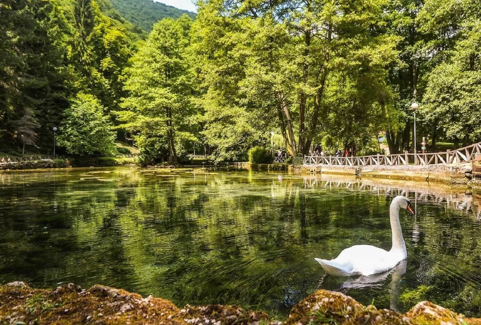 Vrelo Bosne